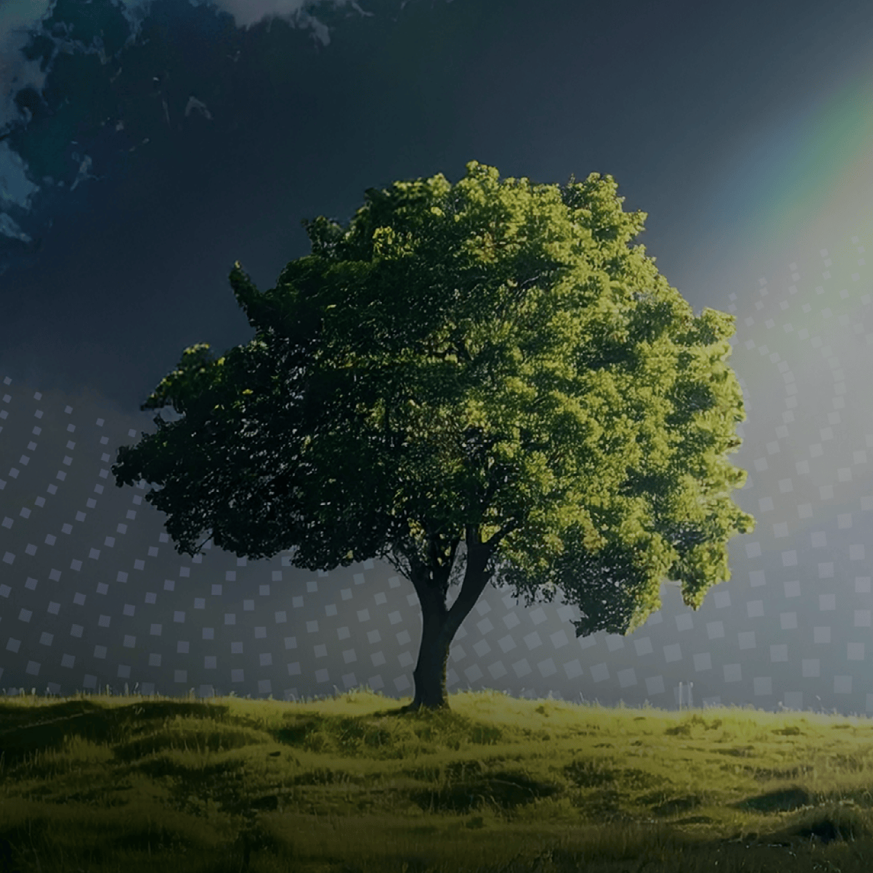 Carahsoft-Akamai-Defending-the-Digital-State-Main